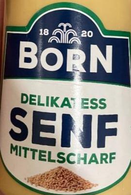 Fotografie - Delikatess senf mittelscharf Born