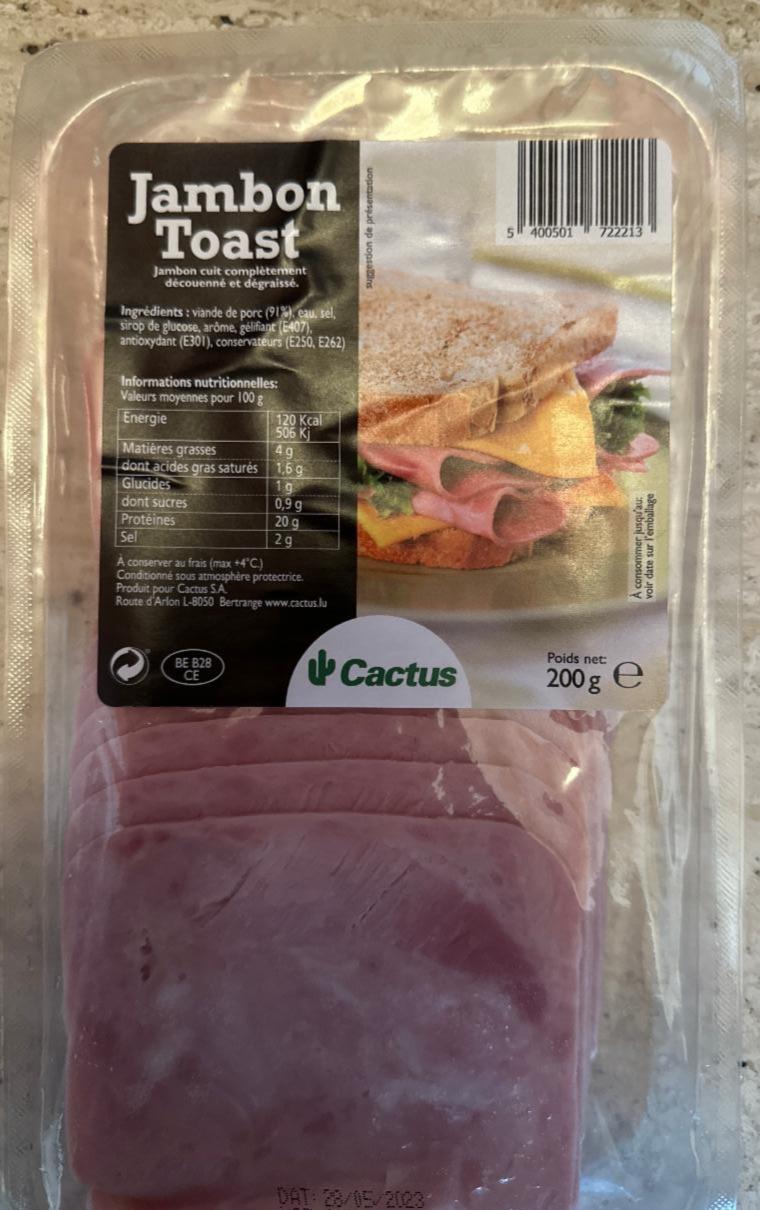 Fotografie - Jambon Toast Cactus