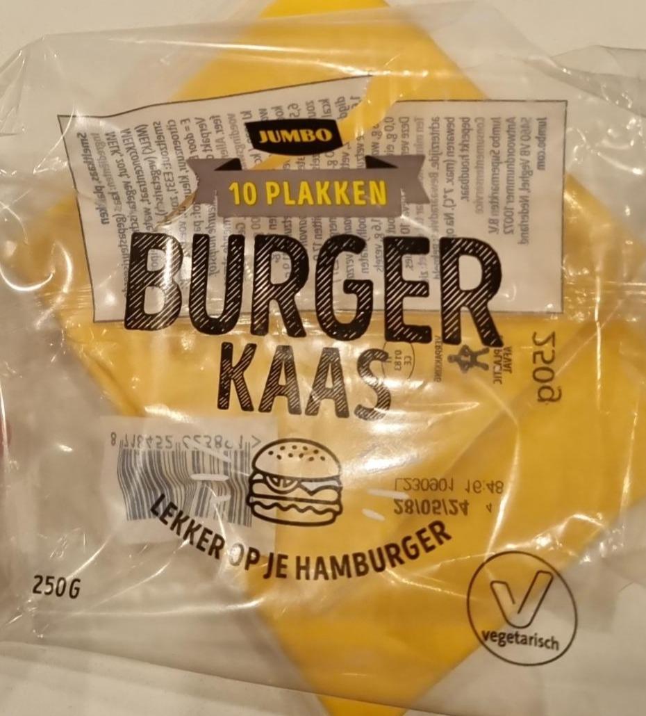 Fotografie - Burger Kaas Jumbo