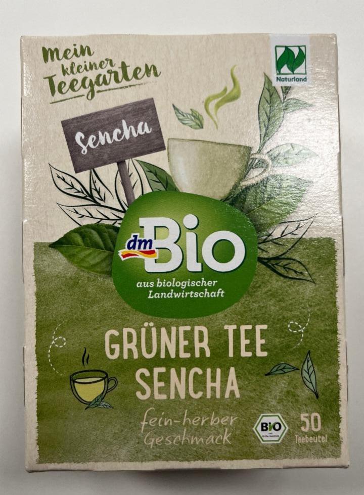 Fotografie - Grüner Tee Sencha dmBio