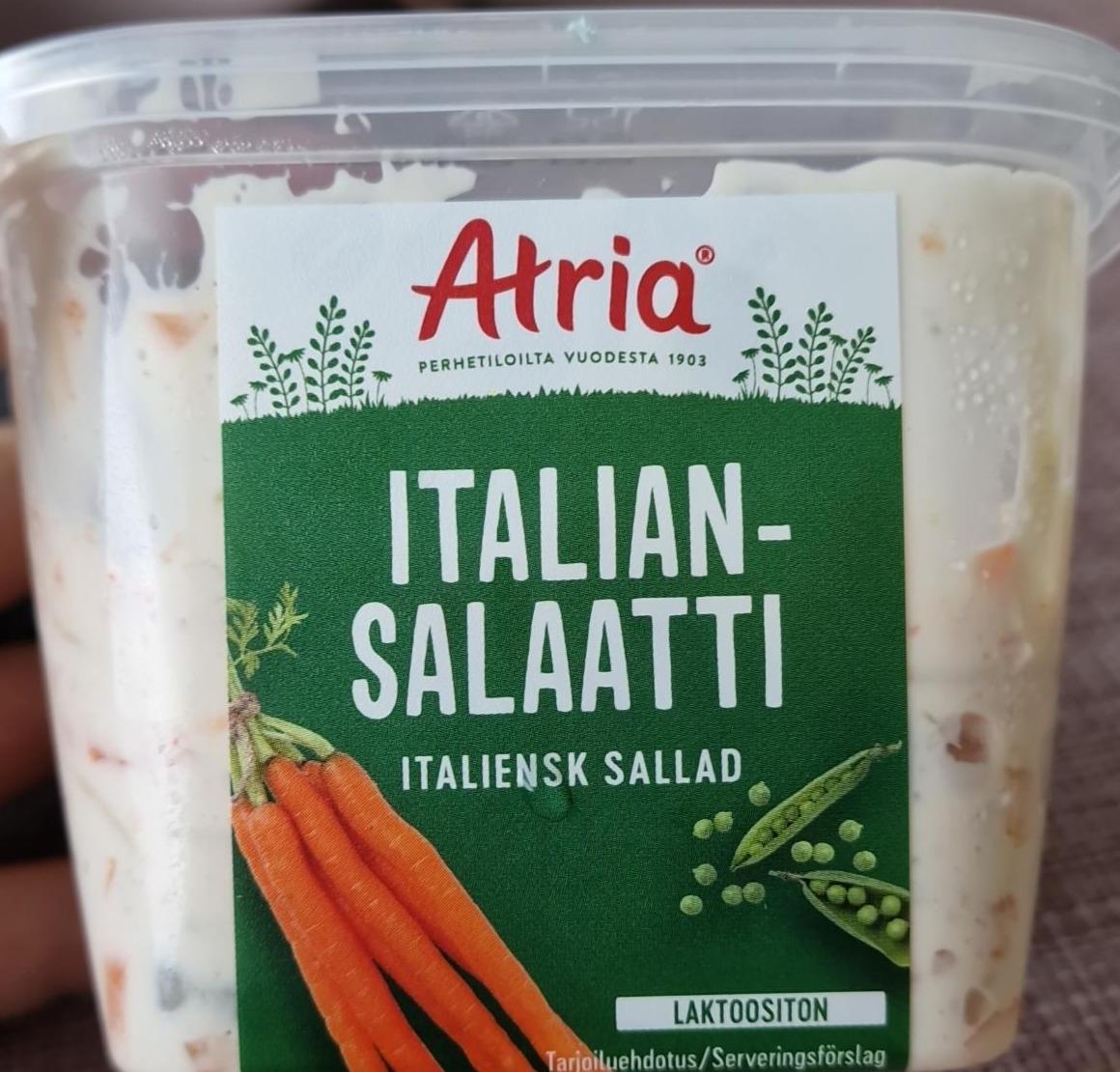 Fotografie - Italiansalaatti Atria