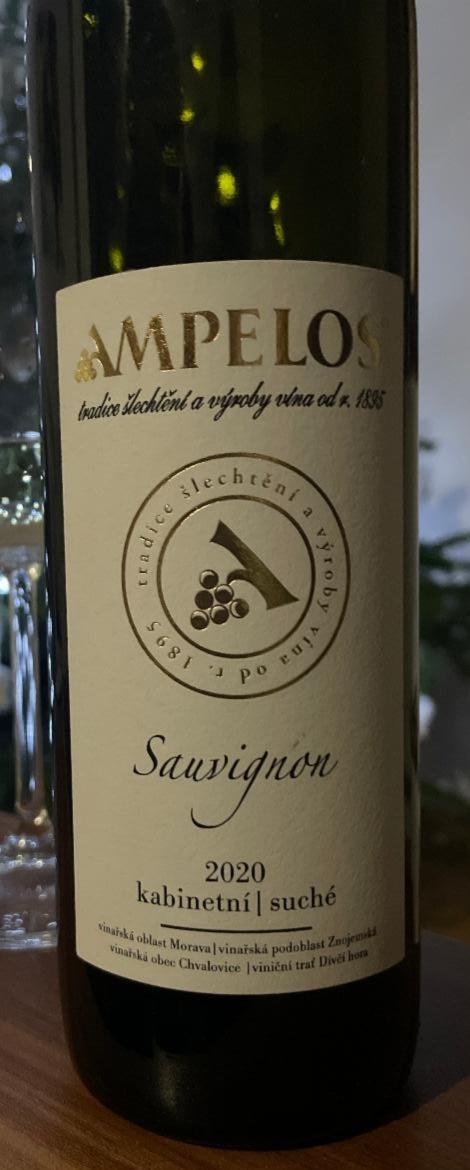 Fotografie - Sauvignon kabinetní suché 2020 Ampelos