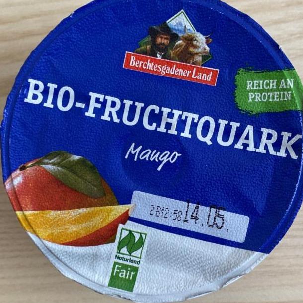 Fotografie - bio fruchtquark mango