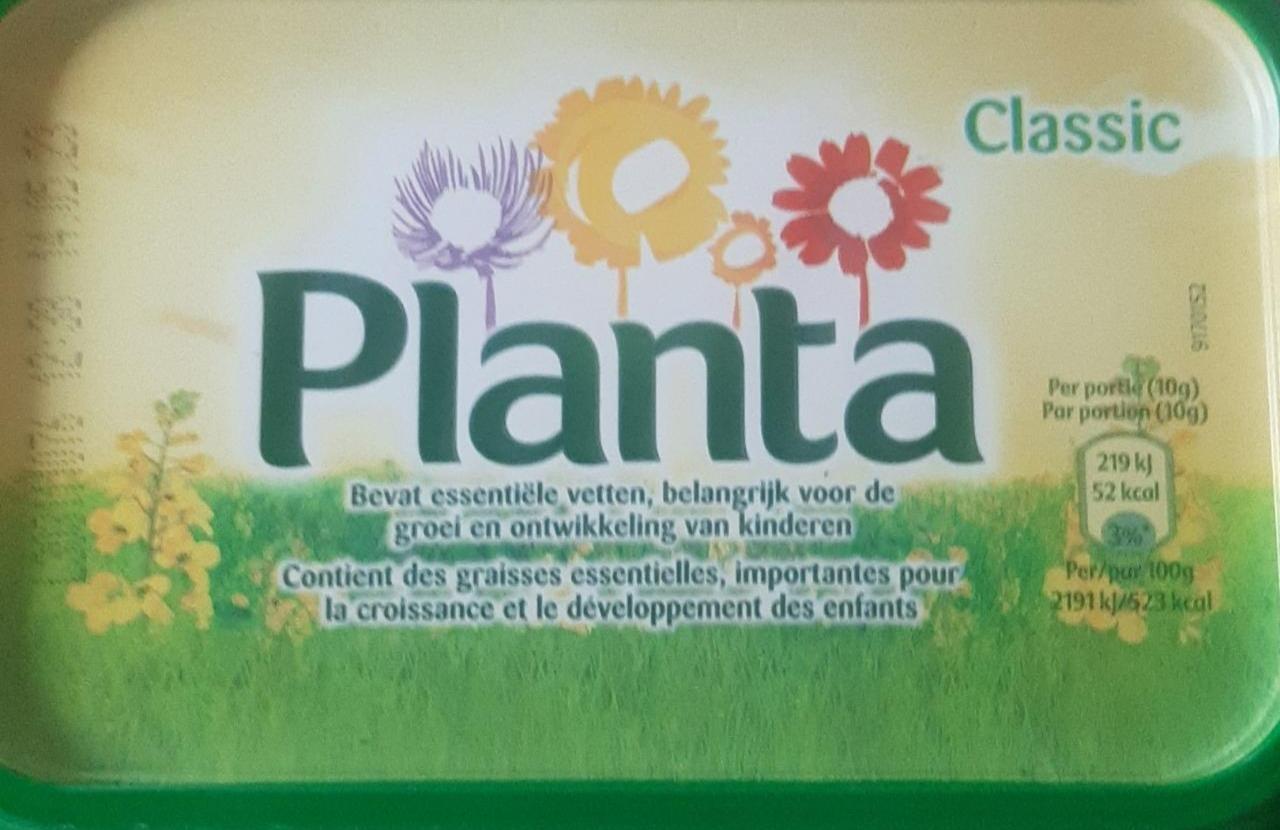 Fotografie - Planta Classic