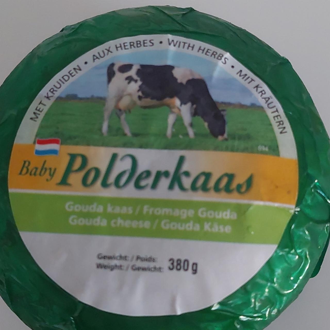 Fotografie - Gouda Cheese Baby Polderkaas