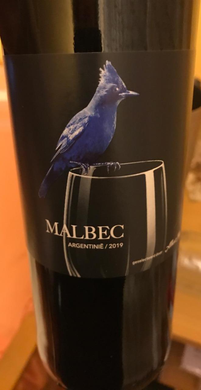 Fotografie - Malbec Argentina AH