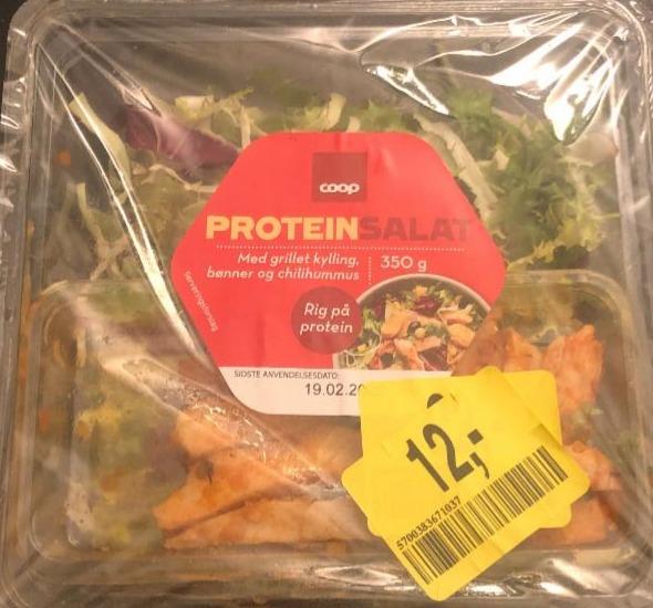 Fotografie - proteinsalat