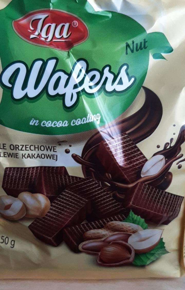 Fotografie - Nut Wafers in cocoa coating Iga