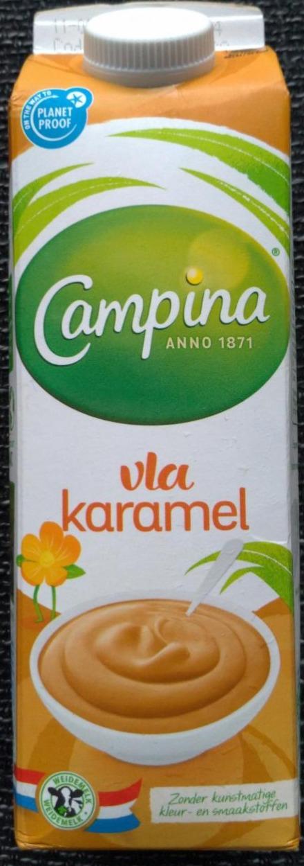 Fotografie - campina vla caramel