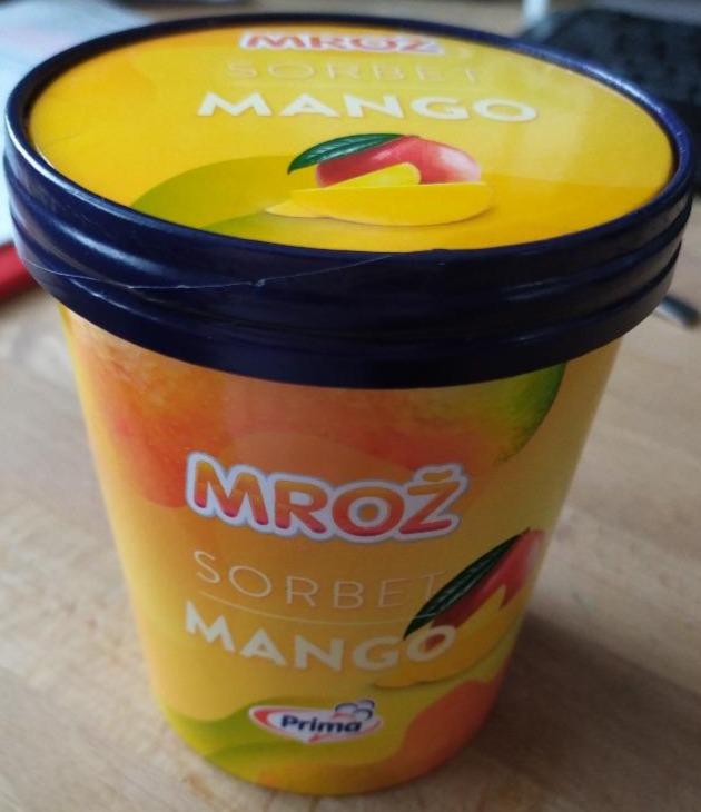 Fotografie - Mrož sorbet mango Prima