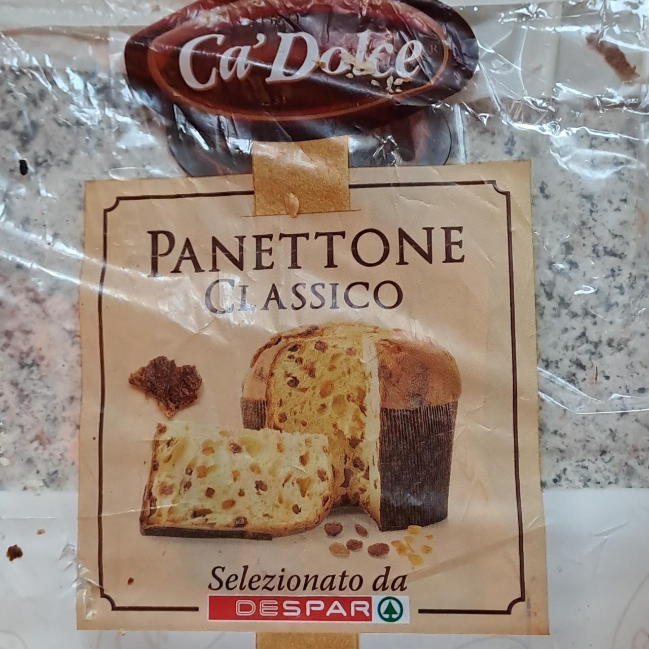 Fotografie - Panettone classico DeSpar