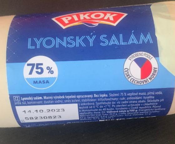 Fotografie - Lyonský salám 75% masa Pikok