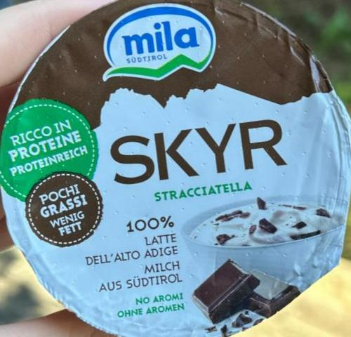 Fotografie - SKYR Stracciatella Mila