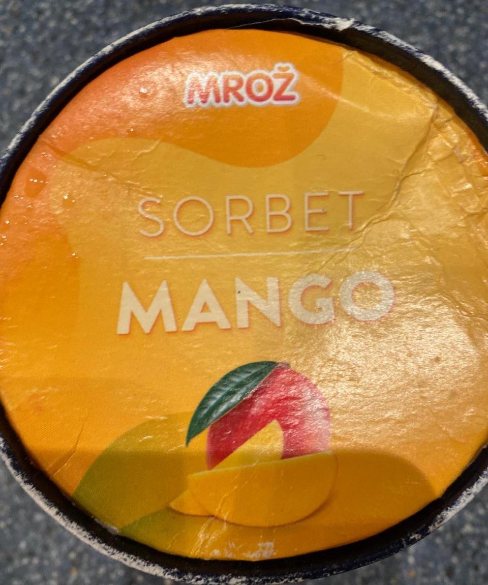 Fotografie - Mrož sorbet mango Prima