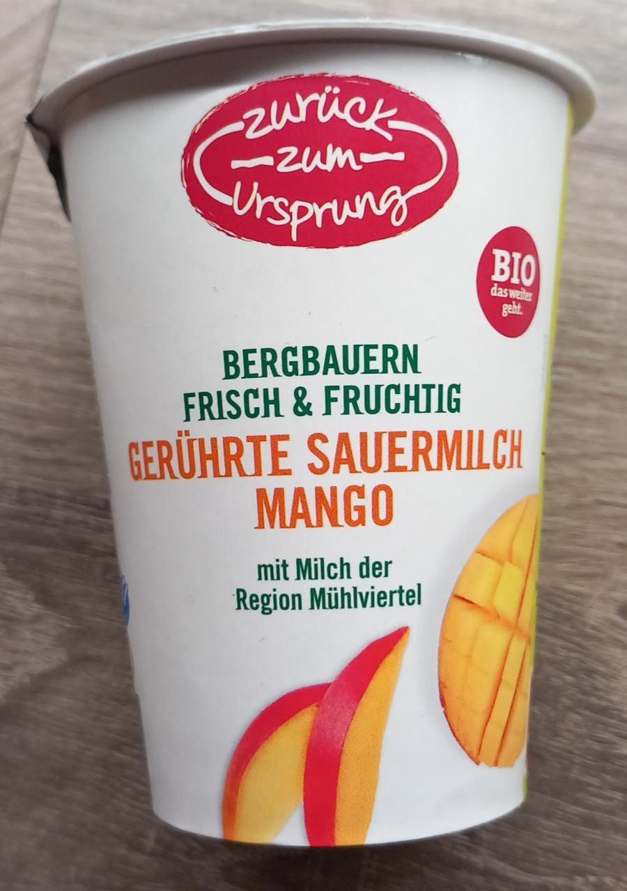 Fotografie - Gerührte Sauermilch Mango Zurück zum Ursprung