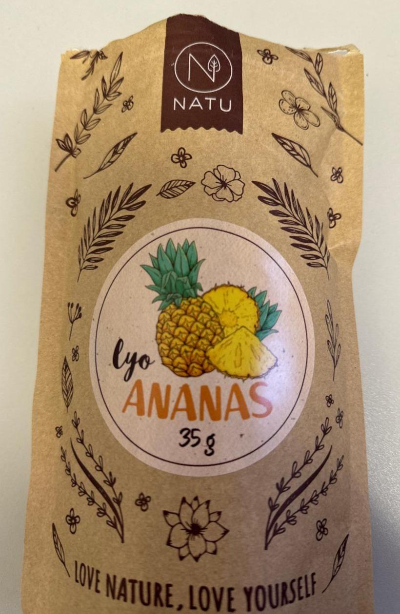 Fotografie - Lyo Ananas Natu