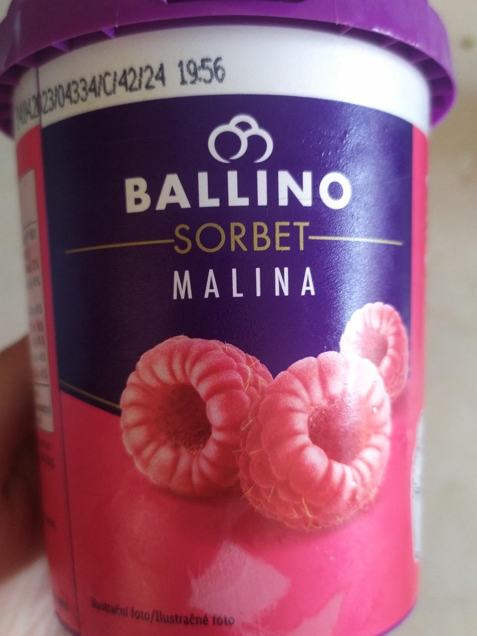 Fotografie - sorbet malina Ballino