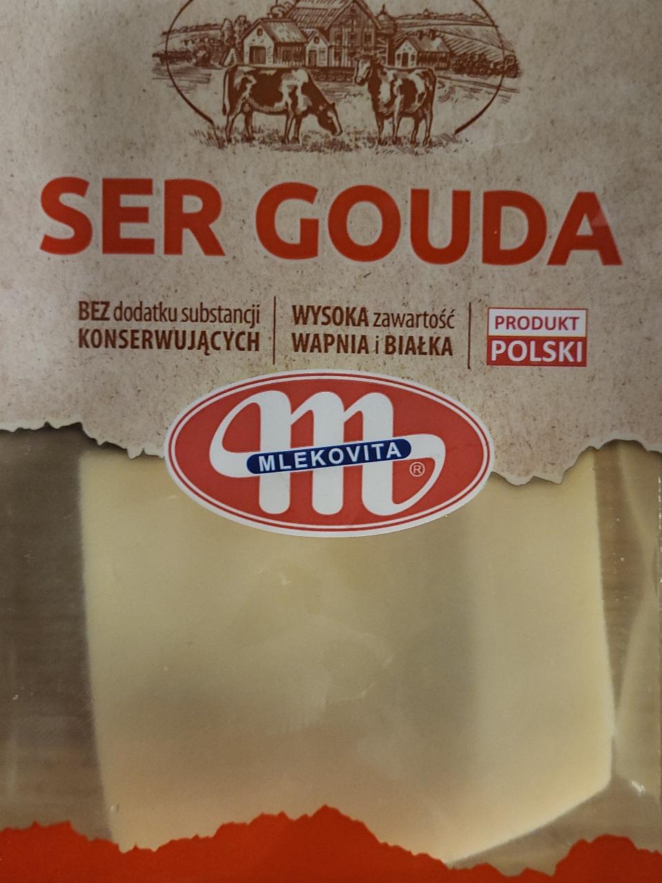 Fotografie - Ser gouda Mlekovita