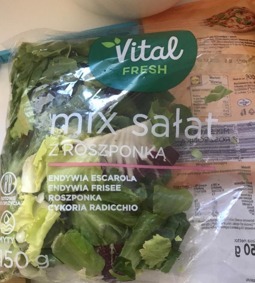 Fotografie - Mix salat z roszponka Vital Fresh