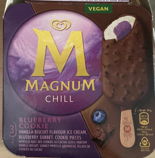 Fotografie - Chill blueberry cookie Magnum