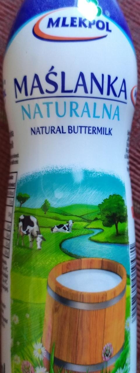 Fotografie - Mlekpol Natural Buttermilk