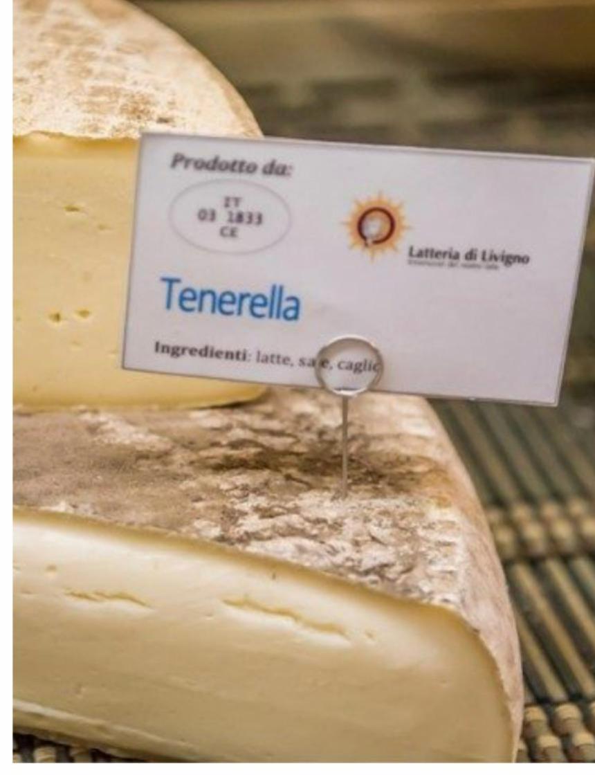 Fotografie - FORMAGGIO TENERELLA