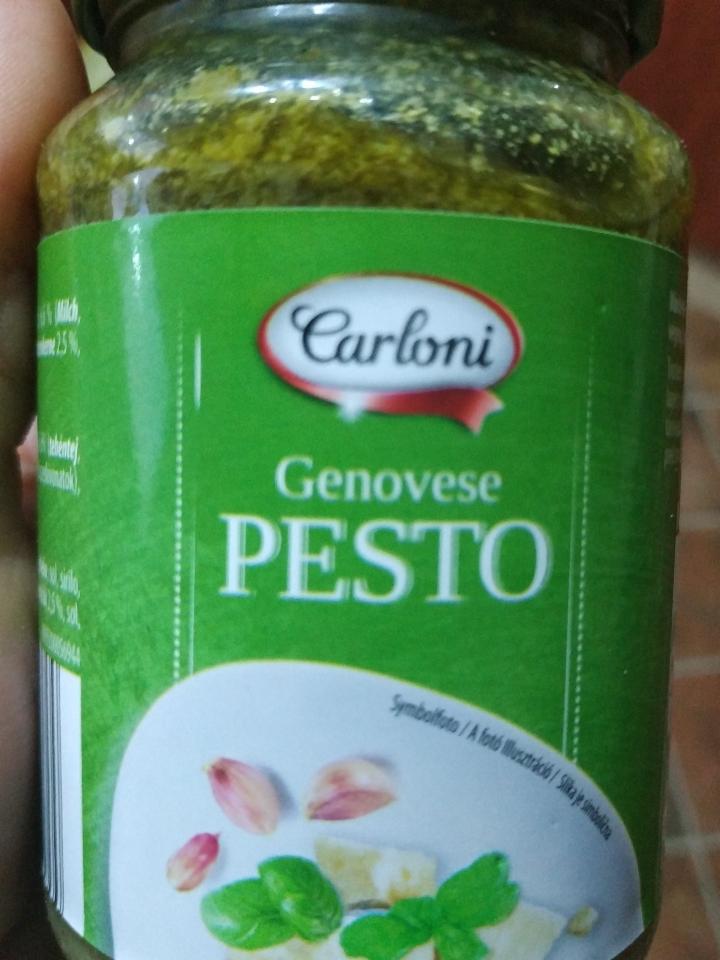 Fotografie - bazalkové pesto Carloni