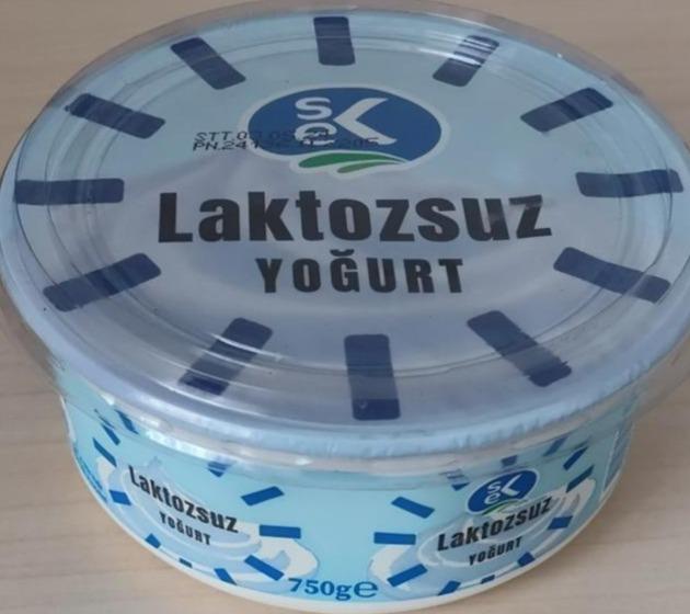 Fotografie - Laktozsuz yoğurt Sek