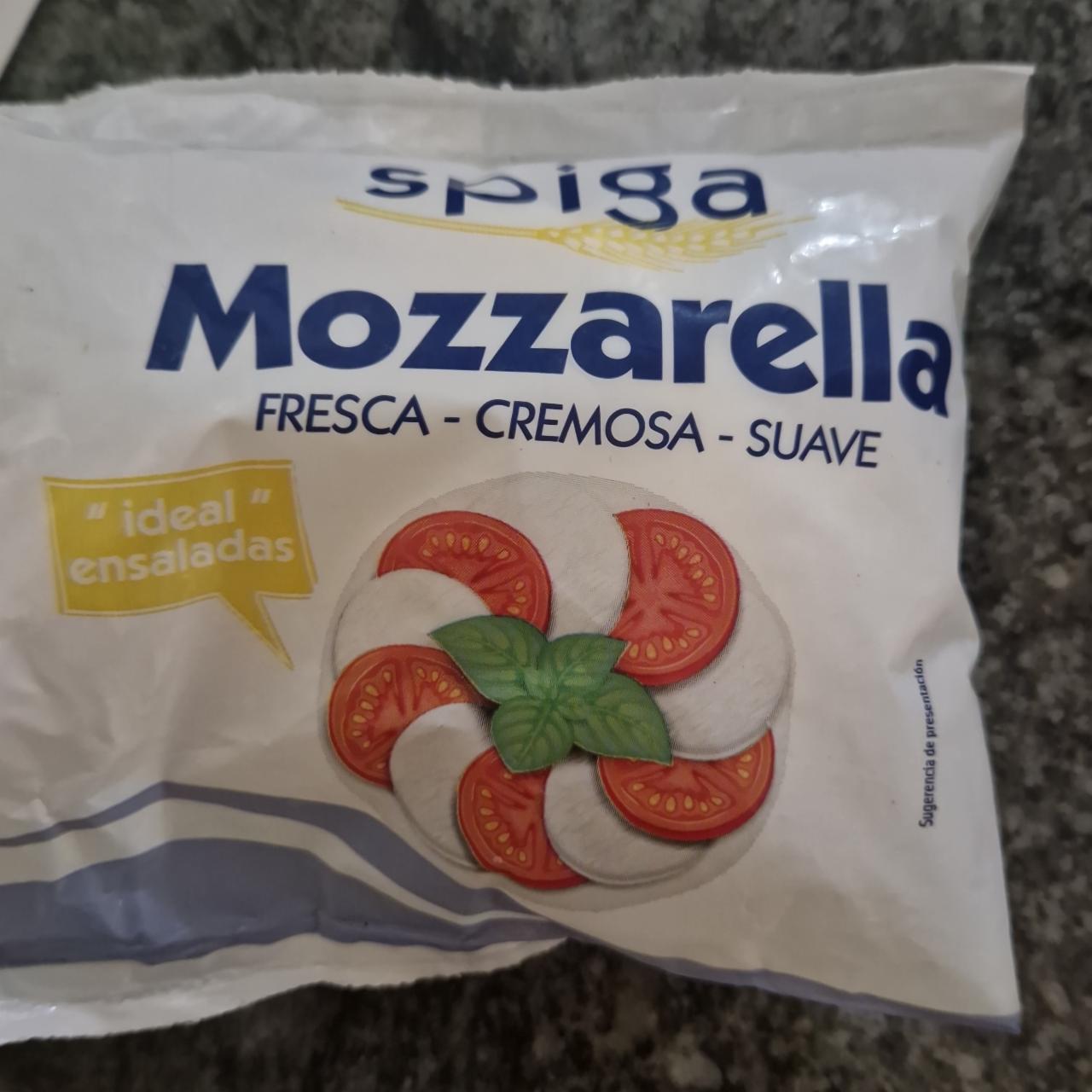 Fotografie - Mozzarella Spiga