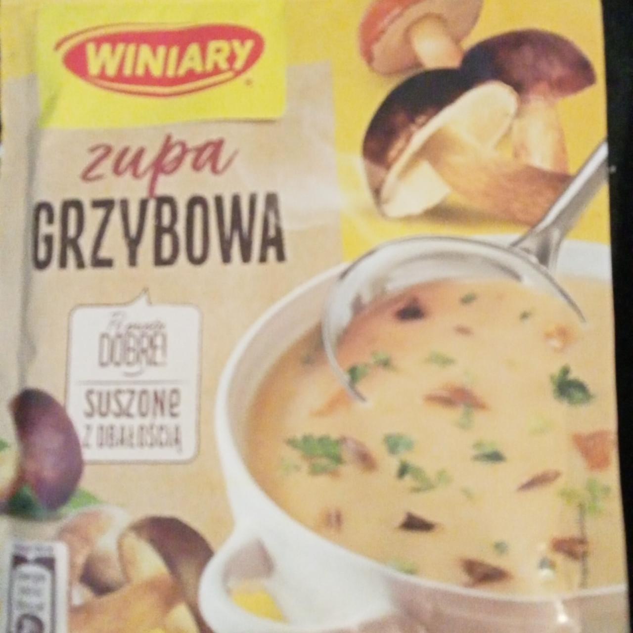 Fotografie - Zupa grzybowa Winiary