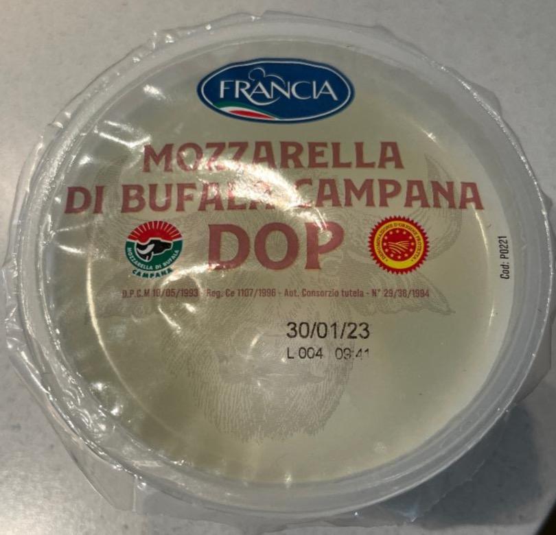 Fotografie - Mozzarella di Bufala Campana DOP Francia