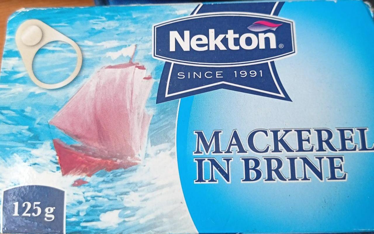 Fotografie - Mackerel in brine Nekton