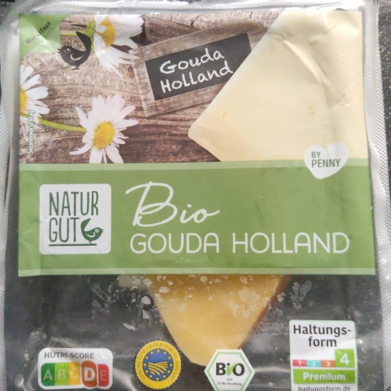 Fotografie - Bio Gouda Holland Natur Gut