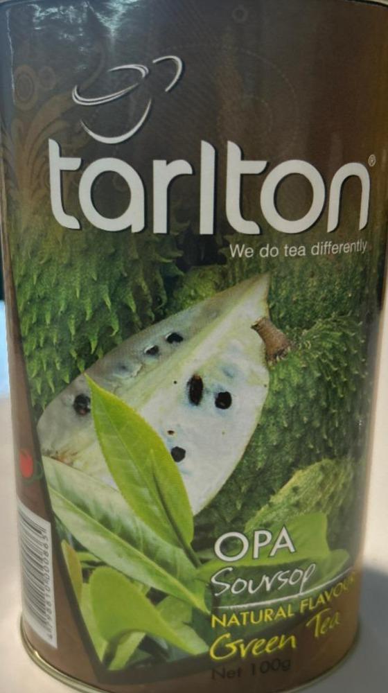 Fotografie - Green Tea Tarlton