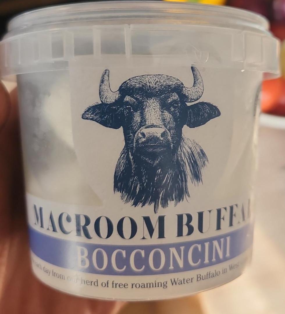 Fotografie - Macroom Buffalo Bocconcini