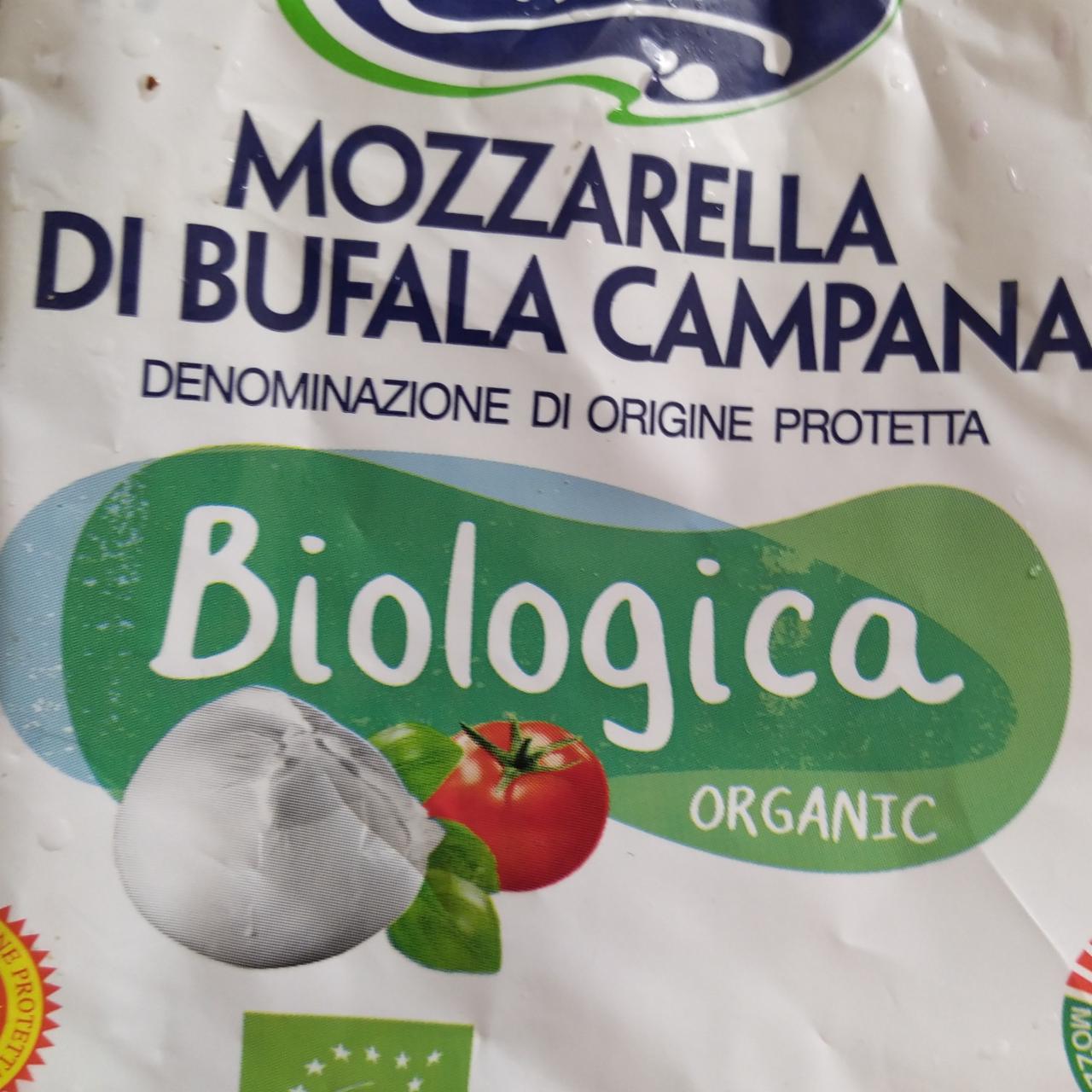 Fotografie - Mozzarella di bufala campana Cirillo