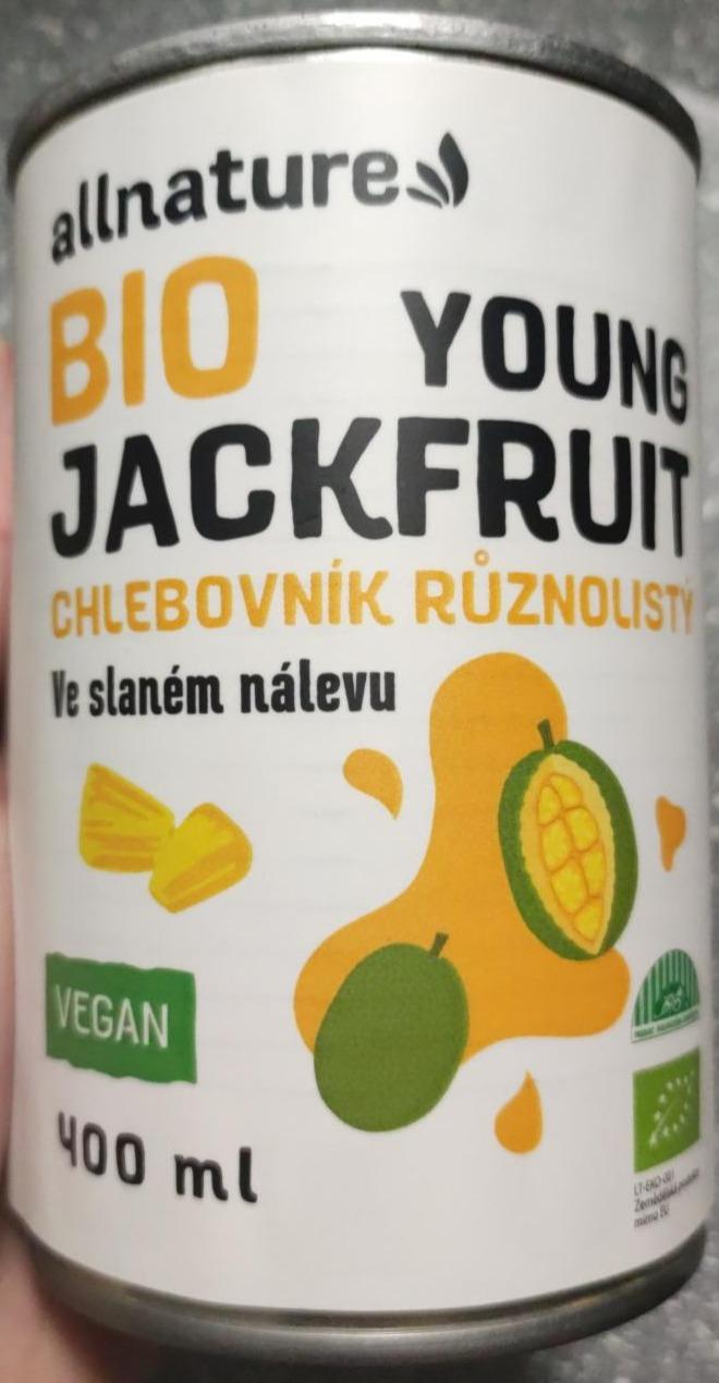 Fotografie - Bio Jackfruit Allnature