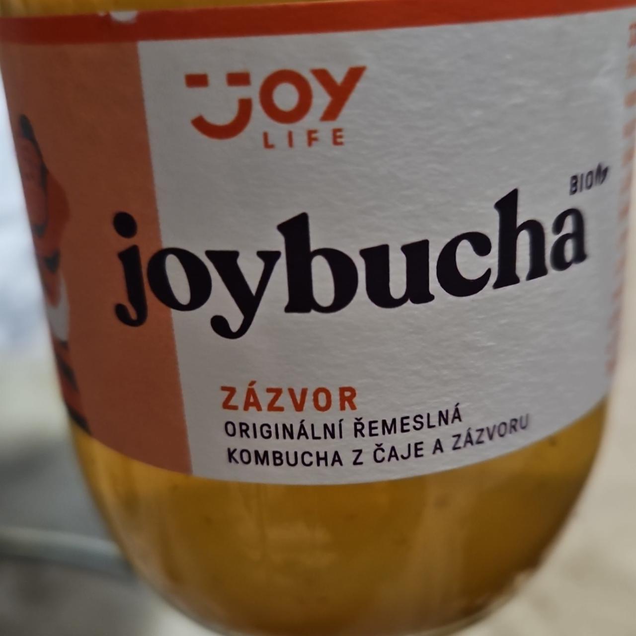 Fotografie - joybucha zázvor Joy Life