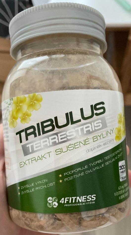 Fotografie - Tribulus terrestris 4fitness