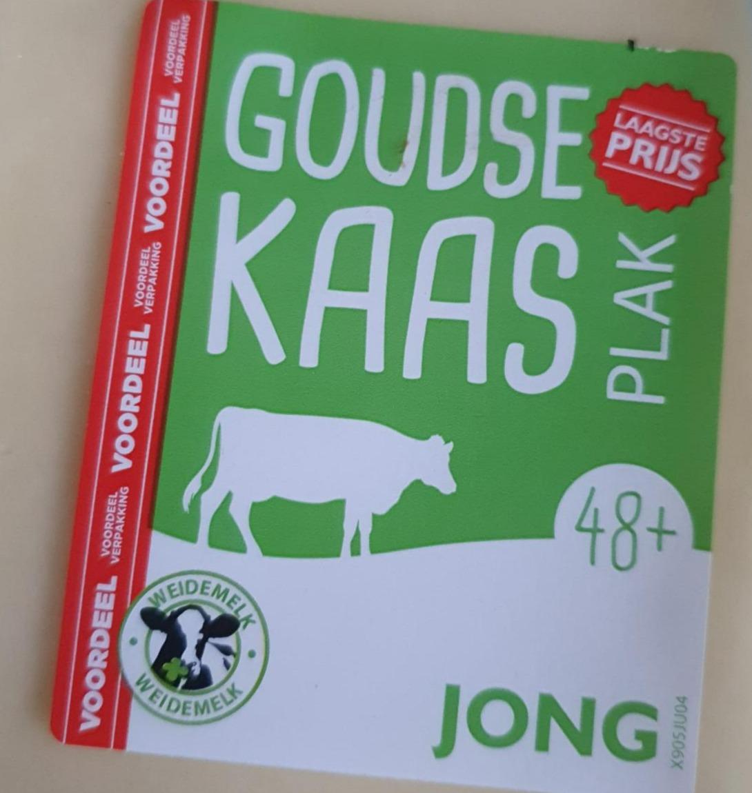 Fotografie - Goudse Kaas plak 48+ Jong Voordeel