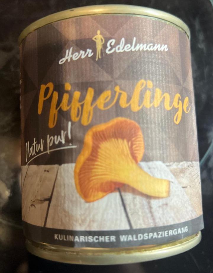 Fotografie - Pfifferlinge Herr Edelmann