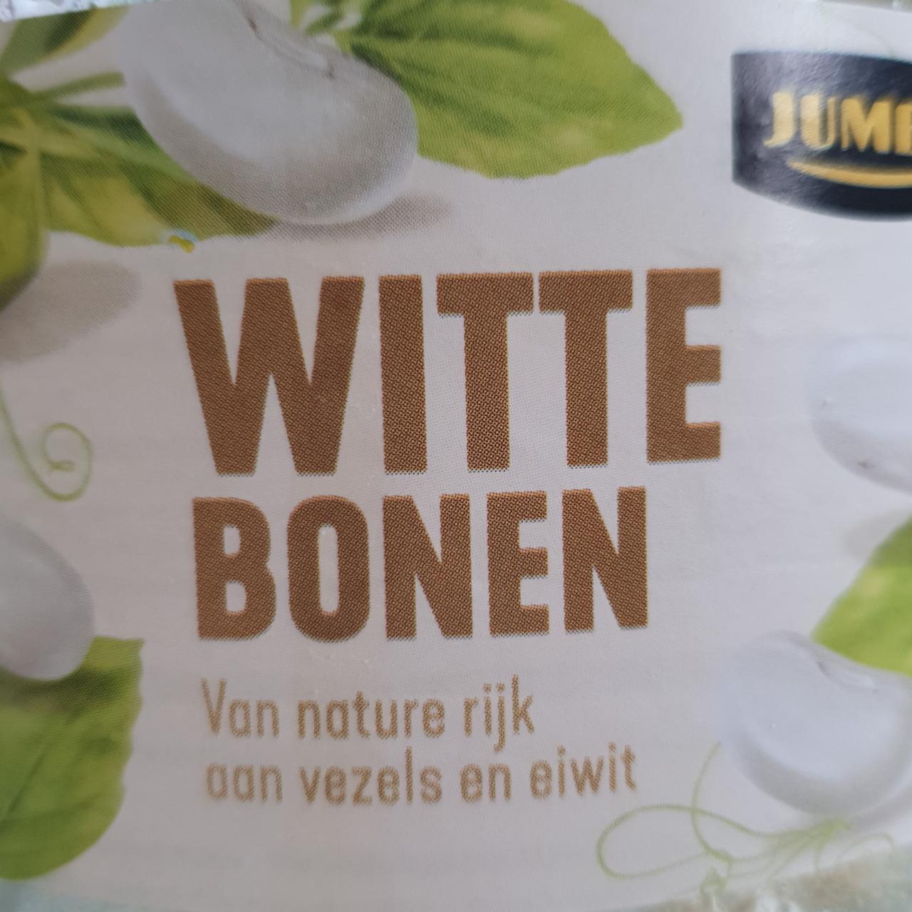 Fotografie - Witte bonen Jumbo