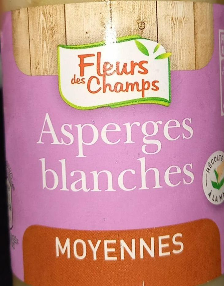 Fotografie - Asperges blanches Moyennes Fleurs des Champs