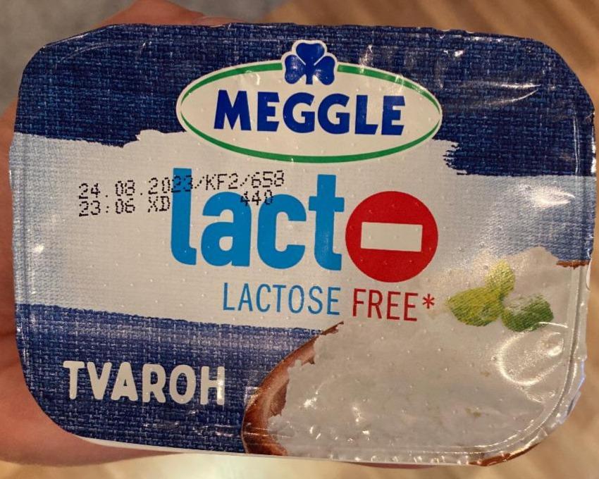 Fotografie - Lacto- Lactose free Tvaroh Meggle