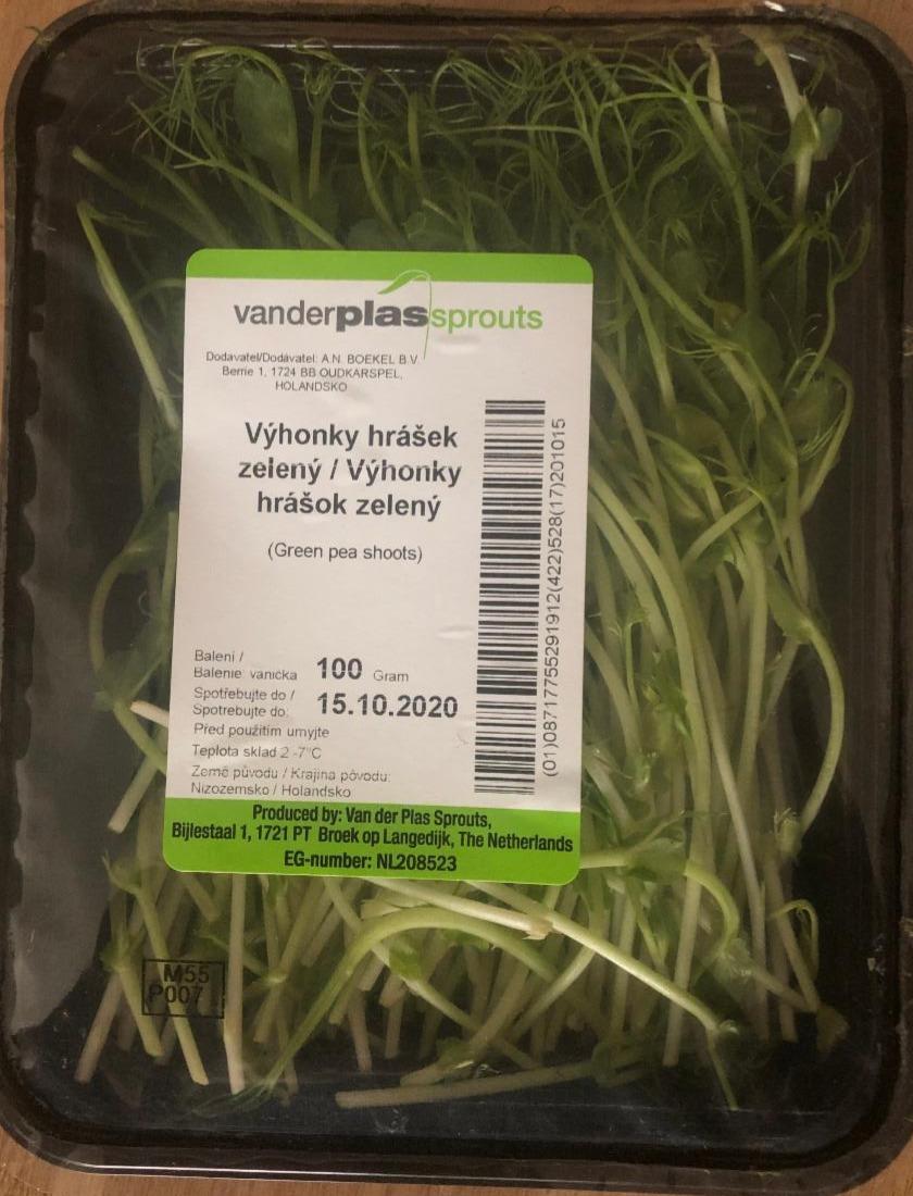 Fotografie - Výhonky hrášek zelený Van der Plas Sprouts