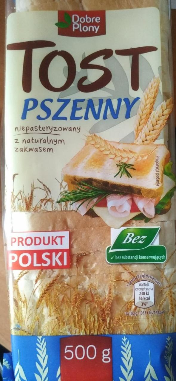 Fotografie - Tost pszenny Dobre Plony