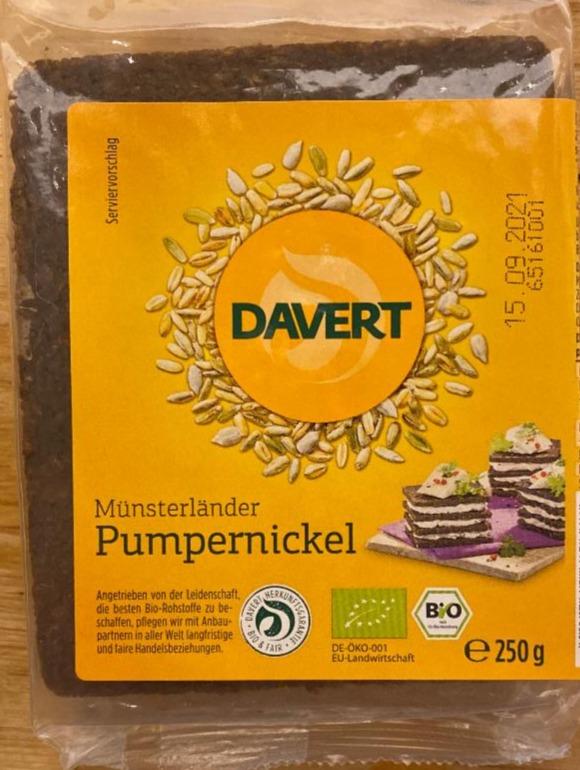 Fotografie - Bio Münsterländer Pumpernickel Davert