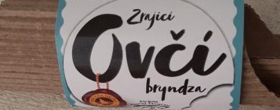 Fotografie - zrající ovčí bryndza Horní Dvorce