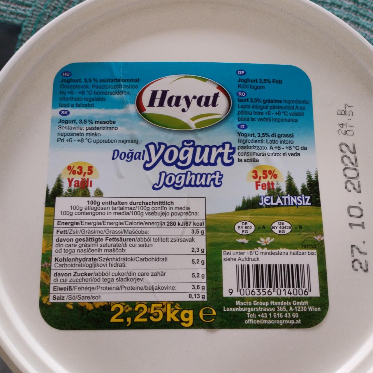 Fotografie - Dogal yogurt Hayat