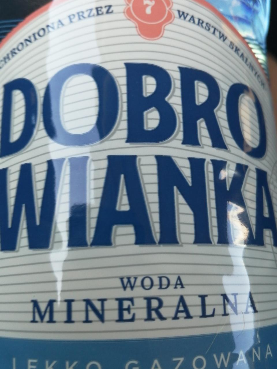 Fotografie - Dobrowianka Woda mineralna lekko gazowana